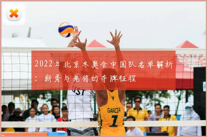 2022年北京冬奥会中国队名单解析：新秀与老将的夺牌征程